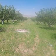 فروش به مساحت 120 من محلی