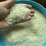 برنج هاشمی درجه یک