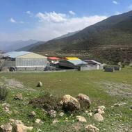 زمین124متر/تاج نمارستاق/سطح صاف/بدون پرتی اکازیون
