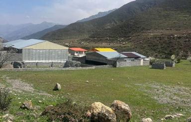 زمین124متر/تاج نمارستاق/سطح صاف/بدون پرتی اکازیون