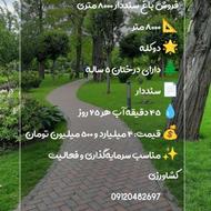 فروش باغ سنددار _ متراژ8000 متری_ درختکاری شده وساعت آب دارد