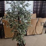 درختچه مصنوعی تزیینی
