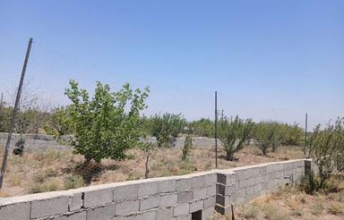 باغچه 300 متری