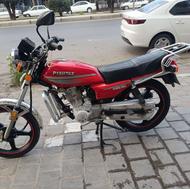 پیشتاز شکاری
