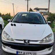 206 sd بی رنگ