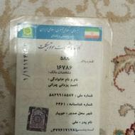 موتور هنودا تمیز با کیفیت