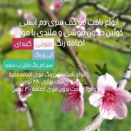 انجام انواع بافت مو با کمترین قیمت