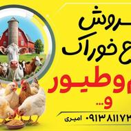 خوراک دام و طیور