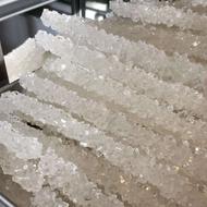 نبات چوبی و نبات شاخه