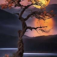 جویای کار هستم بازنشسته ام