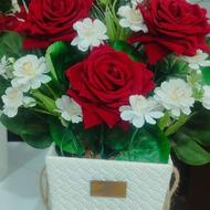 گل با کسی سفید قرمز