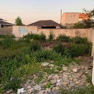 زمین مسکونی 350متر قادیکلا ارطه