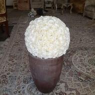 گل و گلدانسفالی