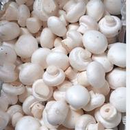 قارچ درجه یک کیلوی250