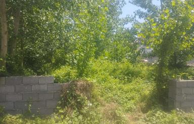 655 متر زمین تجاری مسکونی ابتدای لیلاکوه