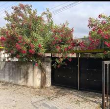 فروش ویلا 270 متری با 120 دوخواب مجموعه سند دار امیرود