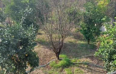 1260 متر خانه باغ ویلایی