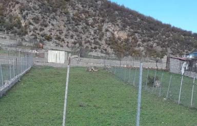 400 متر زپین واقع در سوادکوه روستای لیند