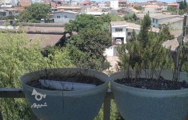 فروش آپارتمان 75 متر در بلوار بسیج