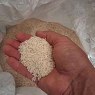 برنج طارم هاشمی