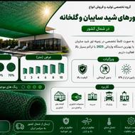 تور شید و سایبان برند نسوم بافت شمال