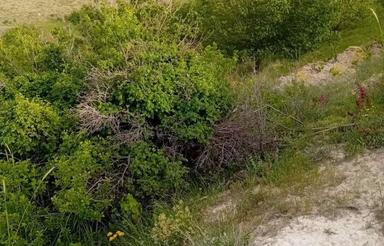 2000 متر باغ در روستای قمقان