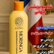 شامپو مورینگا تضمینی قطع زیرش مو