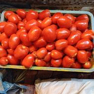 گوجه فرنگی تازه چین