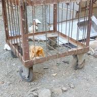 سبد بالابر سبد مصالح