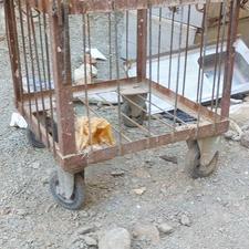 سبد بالابر سبد مصالح