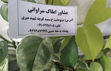خانه اجاره ای خ بشتر خ ملک شعرا
