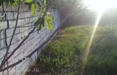 فروش زمین کشاورزی 152 متر در خیابان ساری