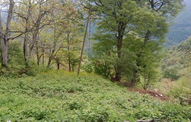 فروش 470 متر زمین مسکونی در روستای گیلده