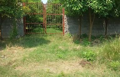 باغ مرکبات، به متراژ 1000 متر مربع، بیست متر بر خیابان اصلی