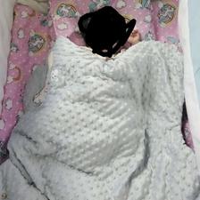 تخت وگهواره اهنی کودک