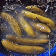 خیارشور ترد درجه یک1