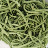 لوبیا سبز درجه یک