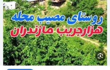زمین کشاورزی در مصیب محله. گلوگاه