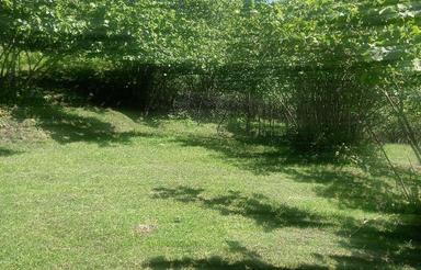 فروش زمین گیلان رودسر رحیم اباد اشکور روستای لیما هلوچال