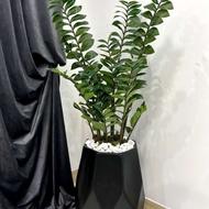 فروش درختچه های وارداتی و مصنوعی
