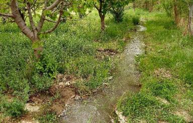3000 متر باغ در روستای آبقد شهر گلبهار