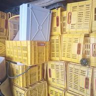 جعبه گوجه نو 60 عدد فروشی درجه یک