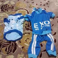 وسایل بچه گربه