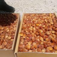 عمده فروشی خرما