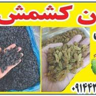 فروش کشمش ضایعاتی
