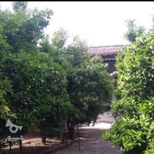 خونه باغ باصفا 324 متری در چهل ستون امیرکلا