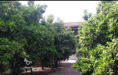خونه باغ باصفا 324 متری در چهل ستون امیرکلا