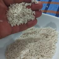 برنج‌شیرودی‌درجه‌1