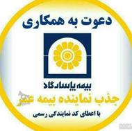 فرصت شغلی برای همه افراد