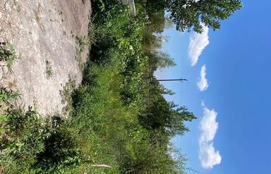زمین برای فروش